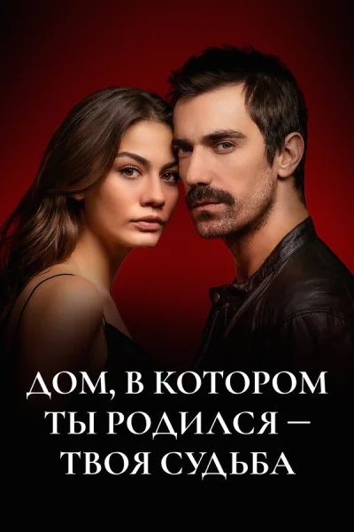 Смотреть онлайн Дом, в котором ты родился - твоя судьба 2019 смотреть онлайн