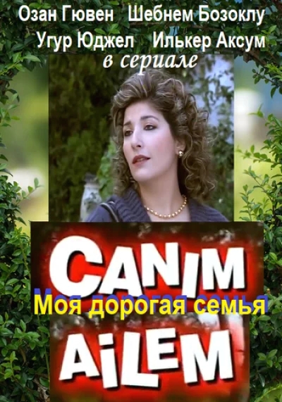 Смотреть онлайн Дорогая моя семья 2008 смотреть онлайн